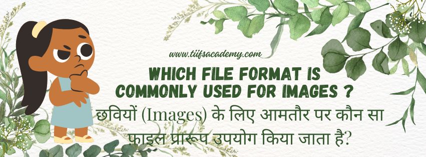 Which file format is commonly used for images?