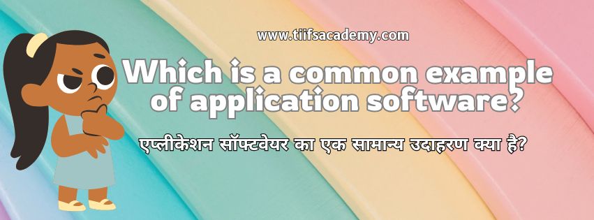 Which is a common example of application software?