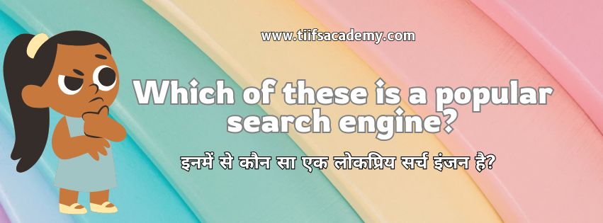 Which of these is a popular search engine?