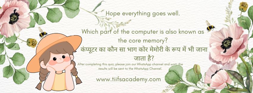 Which part of the computer is also known as the core memory?